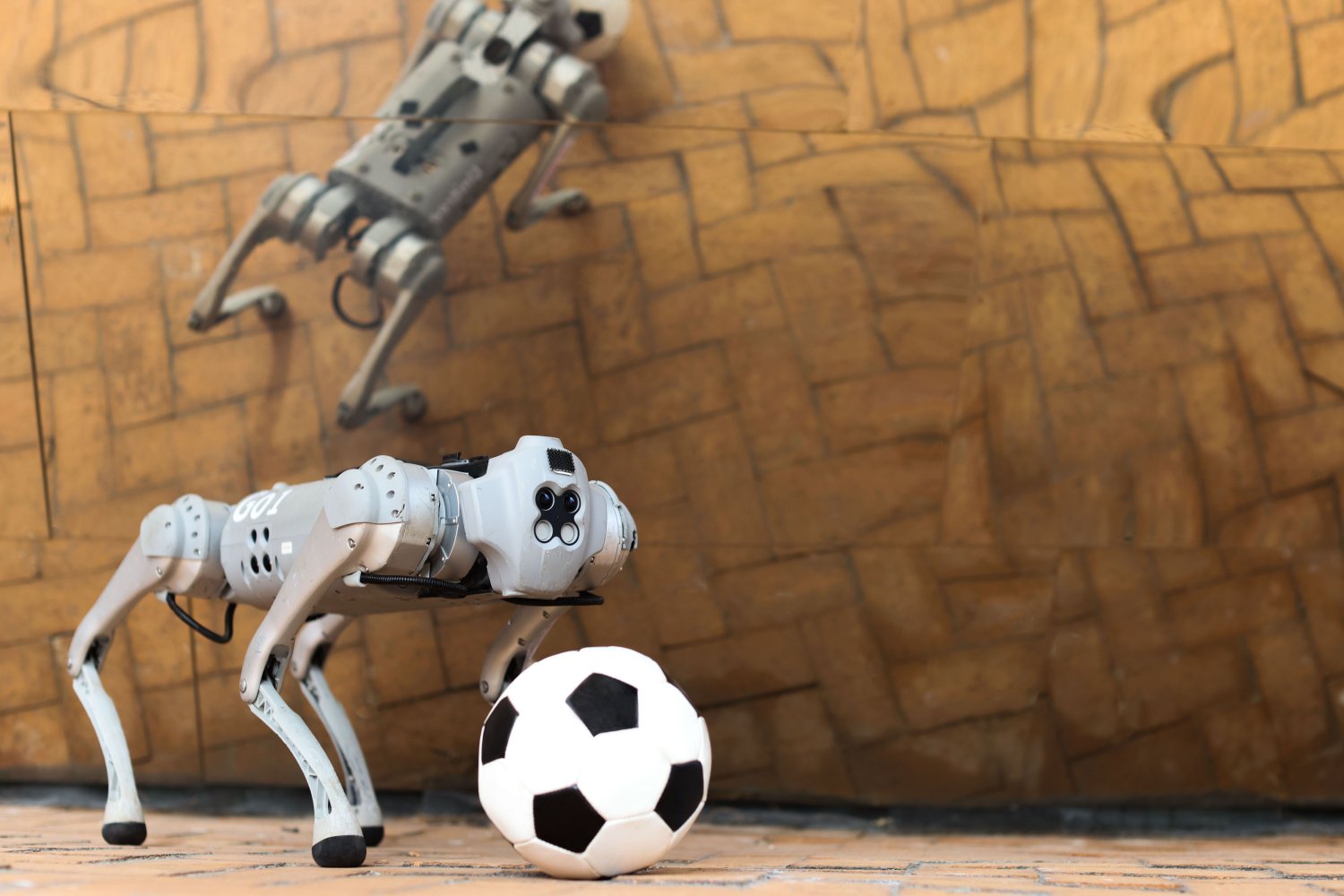 A four-legged robotic system for playing soccer on various terrains | MIT News