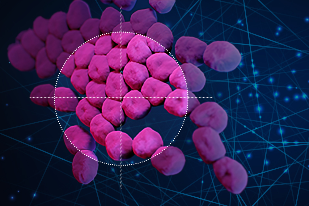 Using AI, scientists find a drug that could combat drug-resistant infections | MIT News
