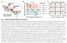 [R] A brain-inspired algorithm that mitigates catastrophic forgetting of artificial and spiking neural networks with low computational cost - Chinese Academy of Sciences 2023