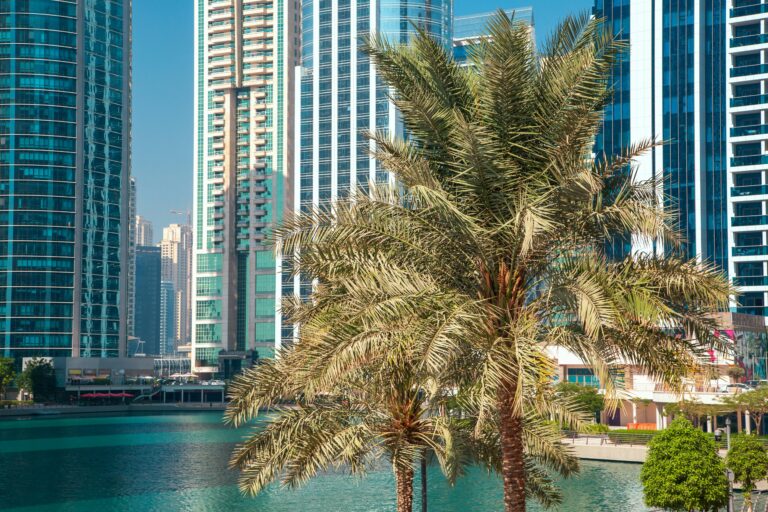 Explore Dubai: Experience Jumeirah Lake Towers